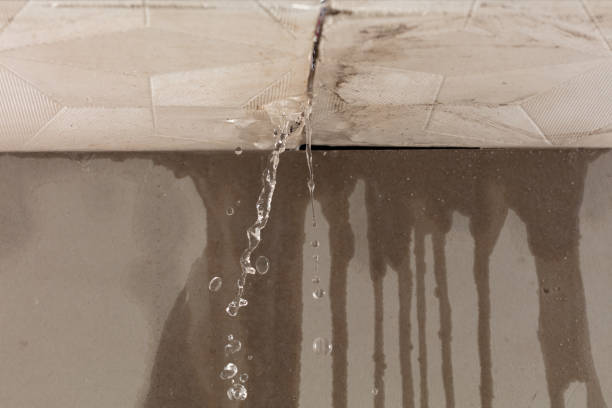 Professional Structural Drying technician working in Harrison, MI
